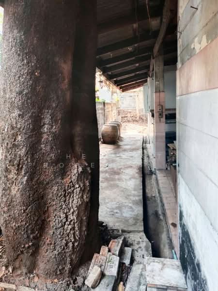 บ้านเดี่ยวบึงกุ่ม กรุงเทพมหานคร, กรุงเทพ, คลองกุ่ม, บึงกุ่ม, กรุงเทพ, 100 ตร.ม., บ้านเดี่ยว ขาย, โดย The Best Property กุ้ง, 500181172 - DDproperty.com