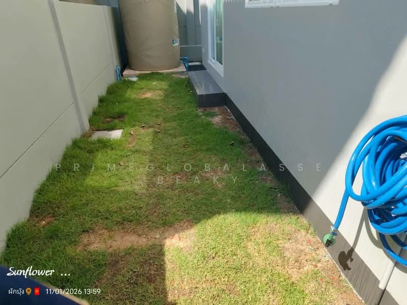 Anasiri Paklok, Phuket, Tha Ruea-Muang Mai Road, Pa Khlok, Thalang, Phuket, 4 Bedrooms, 61 sqm, Single Detached House For Rent, by primeglobalasset Beaky, 500181193 - DDproperty.com