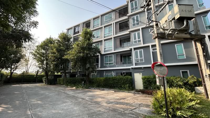diamant condominium, Chiang Mai, . ถ.ซุปเปอร์ไฮเวย์ลำปาง-เชียงใหม่, Fa Ham, Muang Chiang Mai, Chiang Mai, 2 Bedrooms, 45 sqm, Condo For Rent, by The Positive Living, 500181220 - DDproperty.com