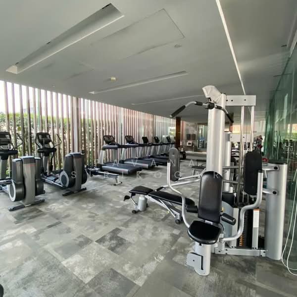 185 Rajadamri, Bangkok, 185 Rajadamri Road, Lumphini, Pathum Wan, Bangkok, 1 Bedroom, 70 sqm, Condo For Rent, by Pavana Sirikogar, 500181247 - DDproperty.com