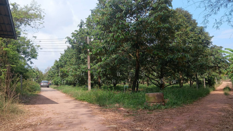 ขาย - ที่ดินแกลง ระยอง, ระยอง