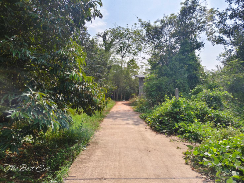 ขาย - ที่ดินแกลง ระยอง, ระยอง