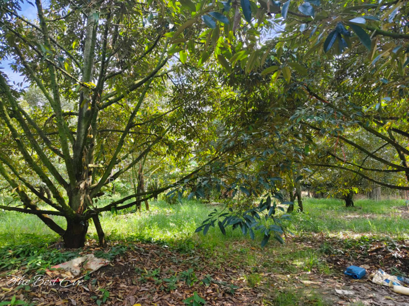 ขาย - ที่ดินแกลง ระยอง, ระยอง