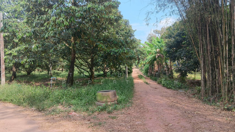 ที่ดินแกลง ระยอง, Rayong, Chakphong, Klaeng, Rayong, , 2,120 sqm, Land For Sale, by The Best Property อีฟ, 500181338 - DDproperty.com