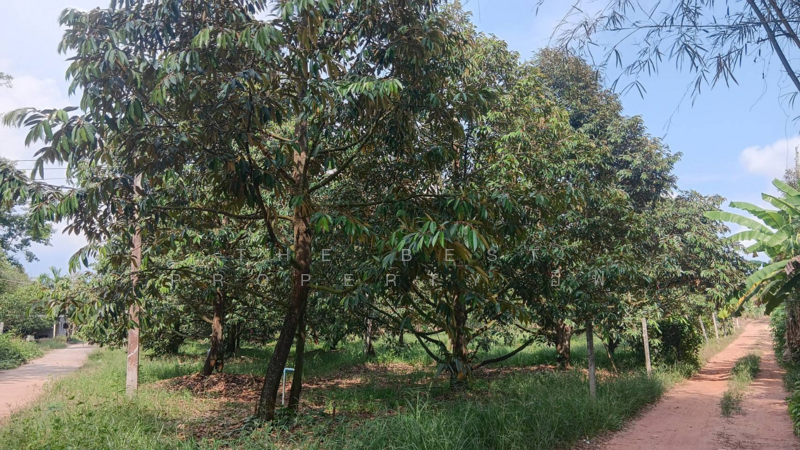 ที่ดินแกลง ระยอง, Rayong, Chakphong, Klaeng, Rayong, , 2,120 sqm, Land For Sale, by The Best Property อีฟ, 500181338 - DDproperty.com