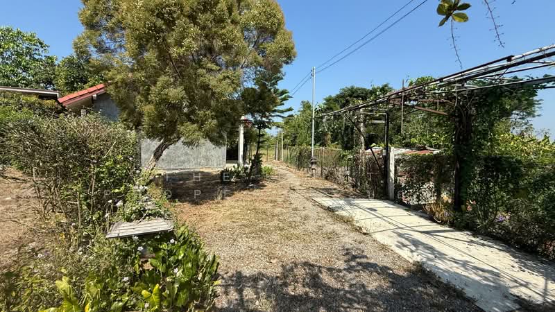 บ้านเดี่ยวสันป่าตอง เชียงใหม่, Chiang Mai, Ban Klang, San Pa Tong, Chiang Mai, 3 Bedrooms, 130 sqm, Single Detached House For Sale, by The Best Property บอย, 500181342 - DDproperty.com