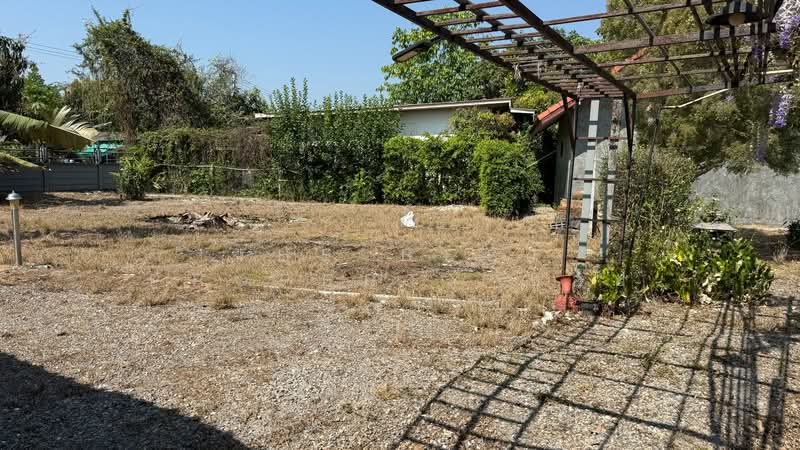 บ้านเดี่ยวสันป่าตอง เชียงใหม่, เชียงใหม่, บ้านกลาง, สันป่าตอง, เชียงใหม่, 130 ตร.ม., บ้านเดี่ยว ขาย, โดย The Best Property บอย, 500181342 - DDproperty.com