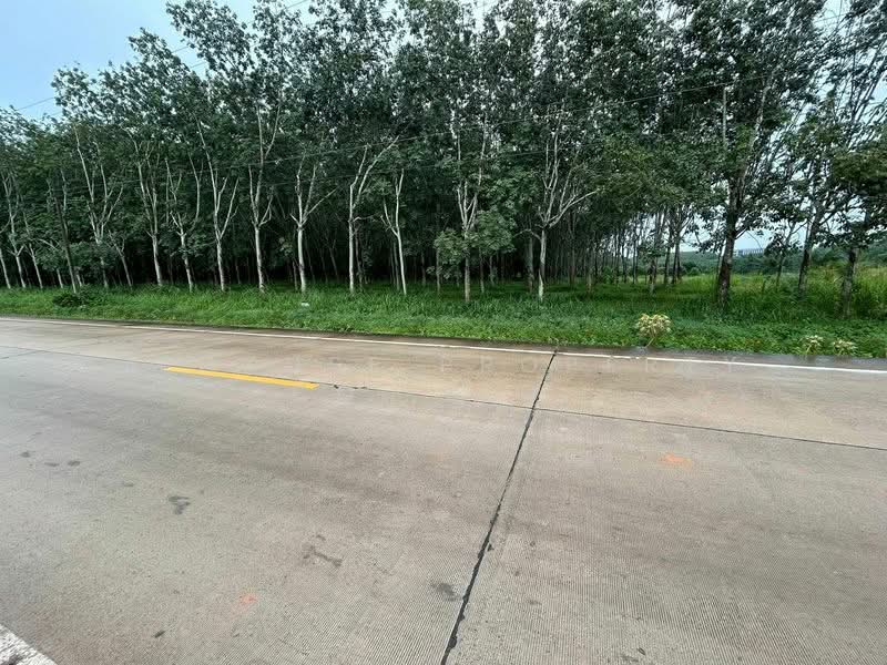 Land for sale in Hang Sung, Nong Yai. Beautiful plot., Chon Buri (Pattaya), Hang Sung, Nong Yai, Chon Buri (Pattaya), , 224,000 sqm, Land For Sale, by A House Property Co.,Ltd., 500181381 - DDproperty.com