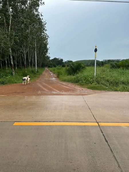 Land for sale in Hang Sung, Nong Yai. Beautiful plot., Chon Buri (Pattaya), Hang Sung, Nong Yai, Chon Buri (Pattaya), , 224,000 sqm, Land For Sale, by A House Property Co.,Ltd., 500181381 - DDproperty.com