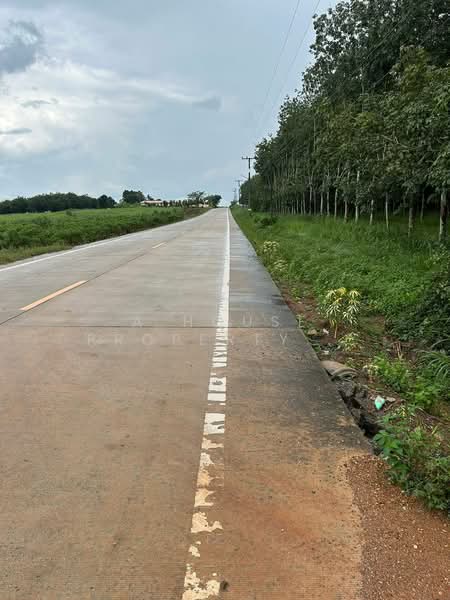 Land for sale in Hang Sung, Nong Yai. Beautiful plot., Chon Buri (Pattaya), Hang Sung, Nong Yai, Chon Buri (Pattaya), , 224,000 sqm, Land For Sale, by A House Property Co.,Ltd., 500181381 - DDproperty.com