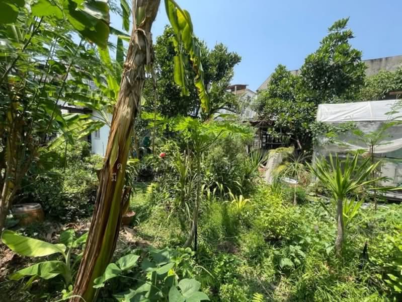 บ้านพร้อมที่ดิน ถ.พุทธบูชา ซ.พุทธบูชา11 แขวงบางมด เขตจอมทอง จ.กรุงเทพมหานคร 10150, กรุงเทพ, พุทธบูชา, บางมด, จอมทอง, กรุงเทพ, 504 ตร.ม., บ้านเดี่ยว ขาย, โดย คุณประสงค์ เหมือนบิดา (โบ้), 500181517 - DDproperty.com