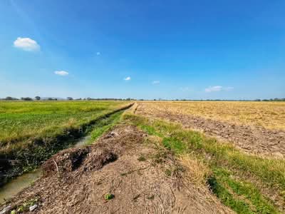 ขาย - ที่ดินสรรพยา ชัยนาท, ชัยนาท