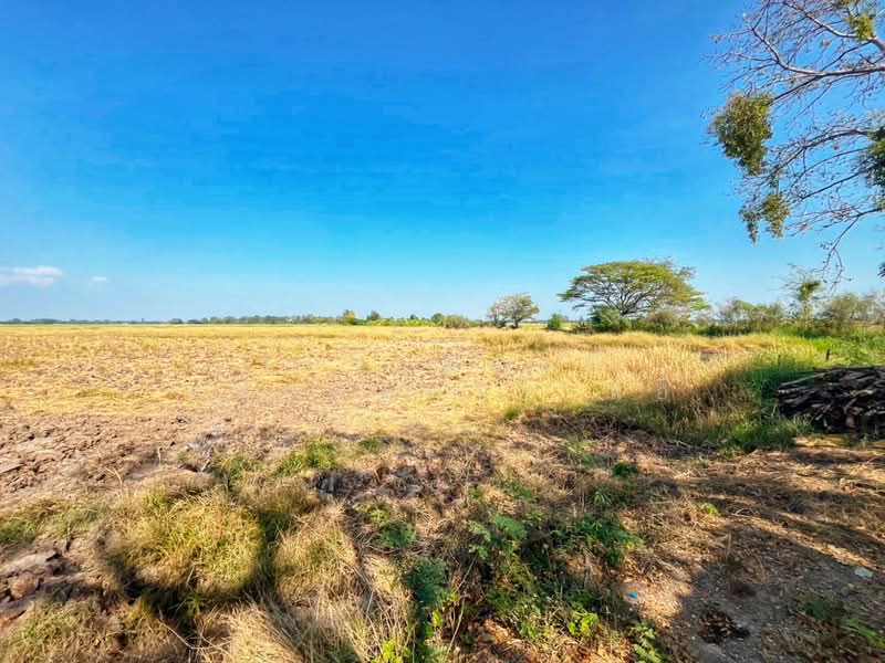 For Sale - ที่ดินสรรพยา ชัยนาท, Chai Nat