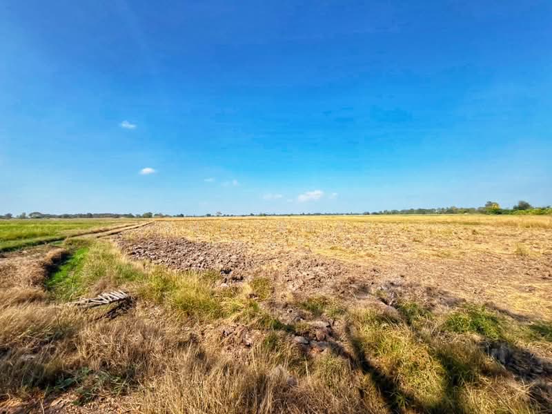 For Sale - ที่ดินสรรพยา ชัยนาท, Chai Nat