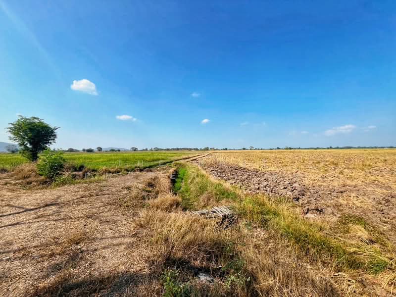 For Sale - ที่ดินสรรพยา ชัยนาท, Chai Nat