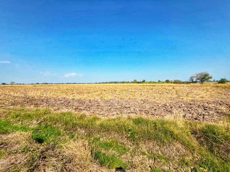 For Sale - ที่ดินสรรพยา ชัยนาท, Chai Nat