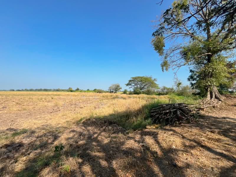 For Sale - ที่ดินสรรพยา ชัยนาท, Chai Nat