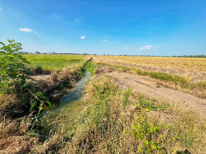 For Sale - ที่ดินสรรพยา ชัยนาท, Chai Nat