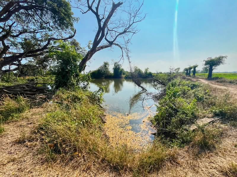 For Sale - ที่ดินสรรพยา ชัยนาท, Chai Nat