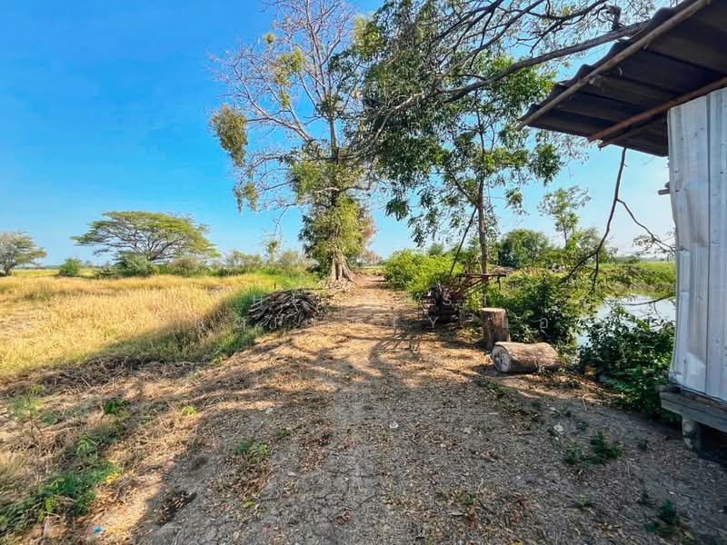 For Sale - ที่ดินสรรพยา ชัยนาท, Chai Nat