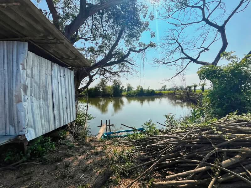 For Sale - ที่ดินสรรพยา ชัยนาท, Chai Nat