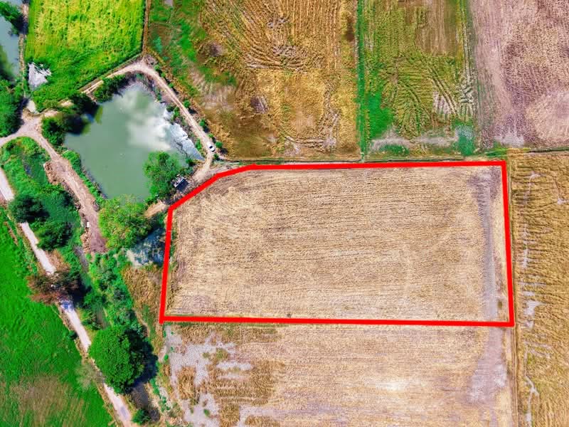 For Sale - ที่ดินสรรพยา ชัยนาท, Chai Nat