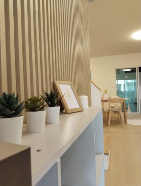 Pleno Town Petchkasem 81, Bangkok, Road along Khlong Phasi Charoen Fang Tai, Nong Kham, Nong Khaem, Bangkok, 3 Bedrooms, 100 sqm, Townhouse For Sale, by ชลิตา ชิตตนันท์, 500181696 - DDproperty.com