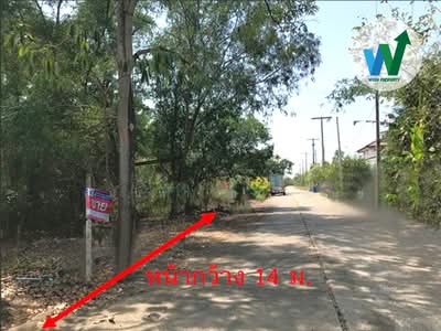 ขาย - ขายที่ดินแปลงสวย ติดถนนโครงการ บ้านสวนศรีปทุม รังสิตคลอง11 (Baansuansripatum), ปทุมธานี