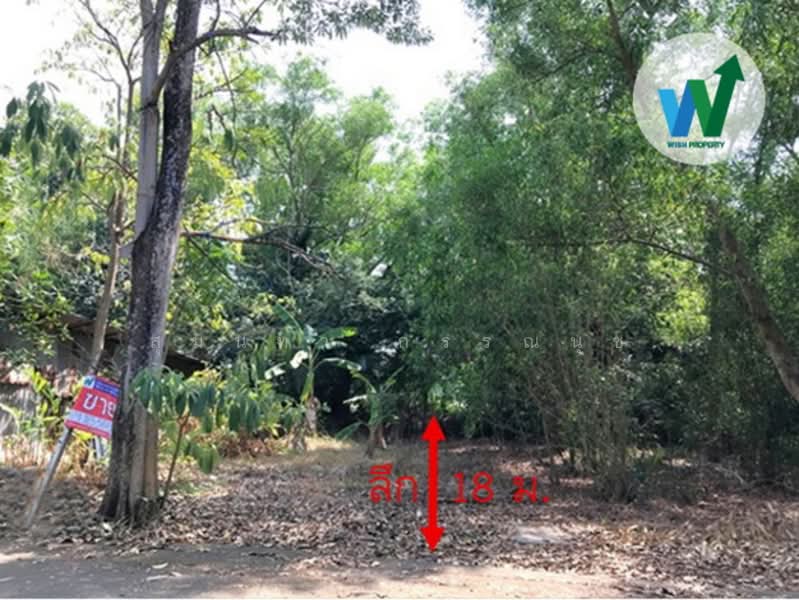 ขายที่ดินแปลงสวย ติดถนนโครงการ บ้านสวนศรีปทุม รังสิตคลอง11 (Baansuansripatum), ปทุมธานี, บึงบา, หนองเสือ, ปทุมธานี, 256 ตร.ม., ที่ดิน ขาย, โดย สุมนทา กรรณนุช, 500181954 - DDproperty.com