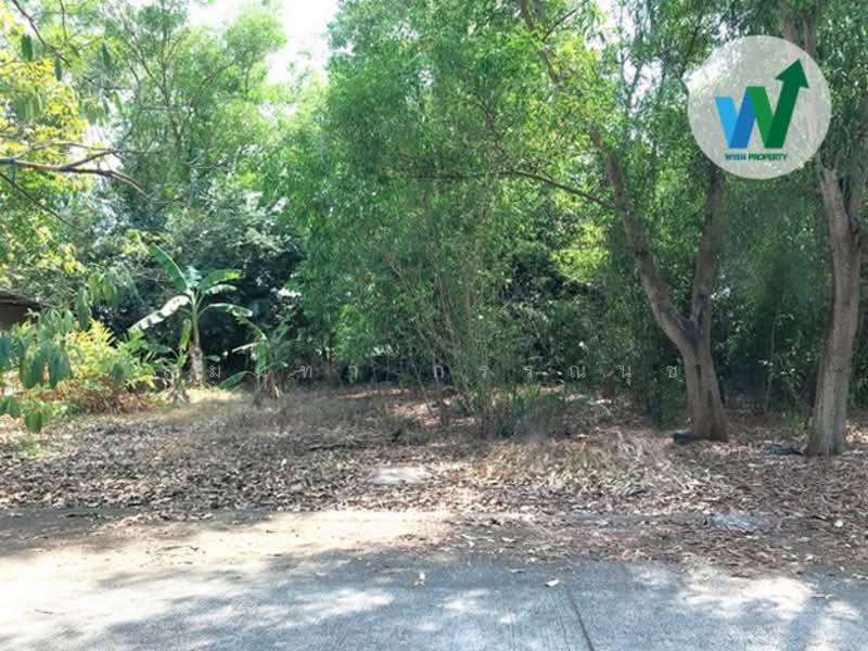 ขายที่ดินแปลงสวย ติดถนนโครงการ บ้านสวนศรีปทุม รังสิตคลอง11 (Baansuansripatum), ปทุมธานี, บึงบา, หนองเสือ, ปทุมธานี, 256 ตร.ม., ที่ดิน ขาย, โดย สุมนทา กรรณนุช, 500181954 - DDproperty.com