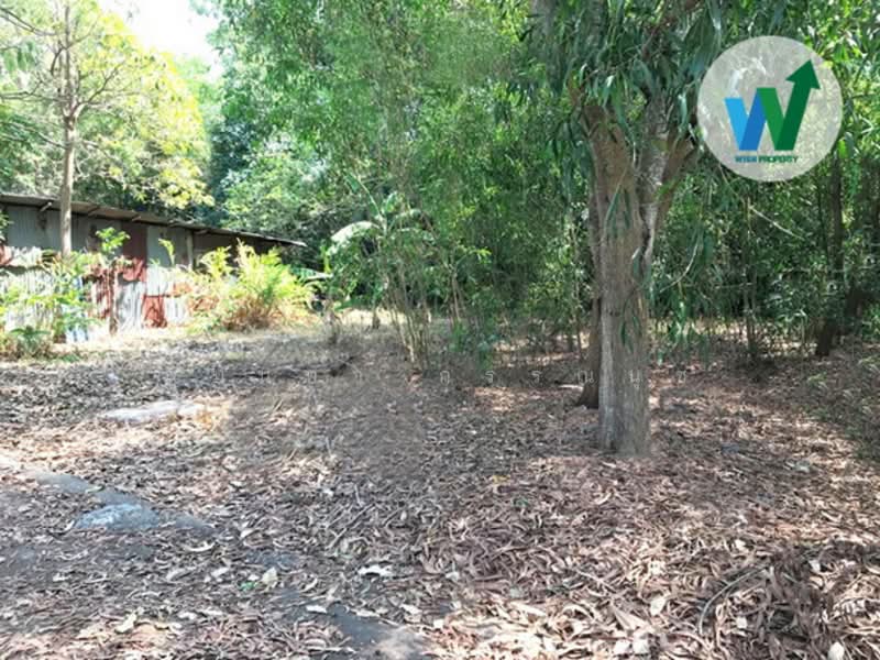 ขายที่ดินแปลงสวย ติดถนนโครงการ บ้านสวนศรีปทุม รังสิตคลอง11 (Baansuansripatum), ปทุมธานี, บึงบา, หนองเสือ, ปทุมธานี, 256 ตร.ม., ที่ดิน ขาย, โดย สุมนทา กรรณนุช, 500181954 - DDproperty.com