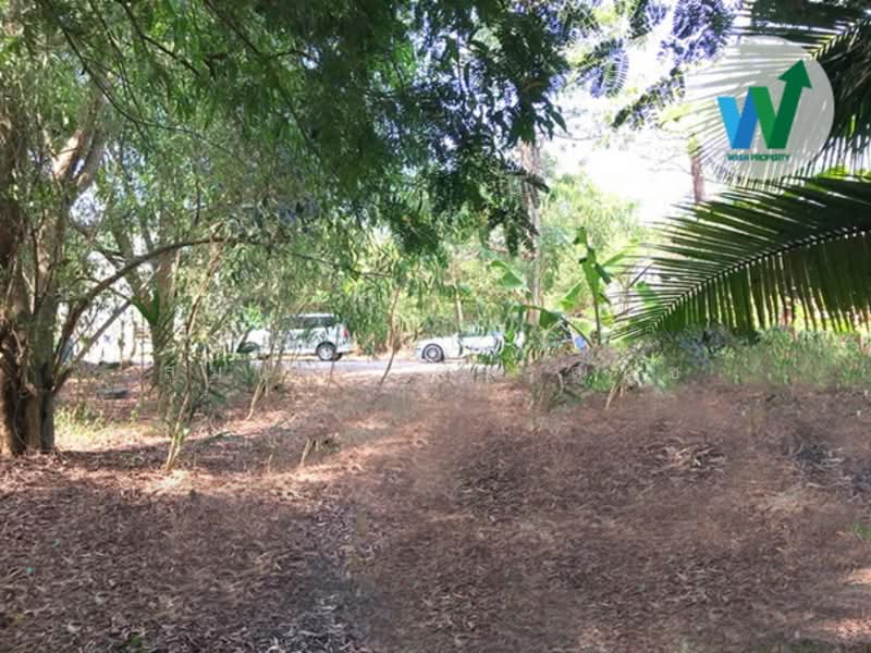 ขายที่ดินแปลงสวย ติดถนนโครงการ บ้านสวนศรีปทุม รังสิตคลอง11 (Baansuansripatum), Pathum Thani, Bung Ba, Nong Sua, Pathum Thani, , 256 sqm, Land For Sale, by สุมนทา กรรณนุช, 500181954 - DDproperty.com