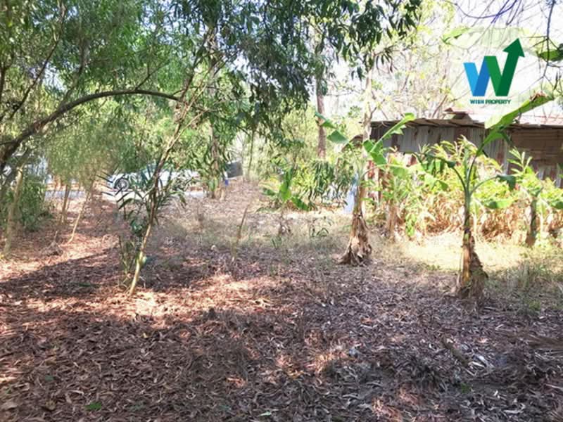 ขายที่ดินแปลงสวย ติดถนนโครงการ บ้านสวนศรีปทุม รังสิตคลอง11 (Baansuansripatum), ปทุมธานี, บึงบา, หนองเสือ, ปทุมธานี, 256 ตร.ม., ที่ดิน ขาย, โดย สุมนทา กรรณนุช, 500181954 - DDproperty.com