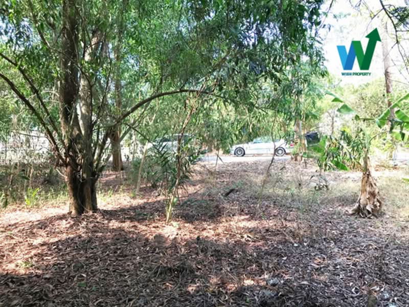 ขายที่ดินแปลงสวย ติดถนนโครงการ บ้านสวนศรีปทุม รังสิตคลอง11 (Baansuansripatum), Pathum Thani, Bung Ba, Nong Sua, Pathum Thani, , 256 sqm, Land For Sale, by สุมนทา กรรณนุช, 500181954 - DDproperty.com