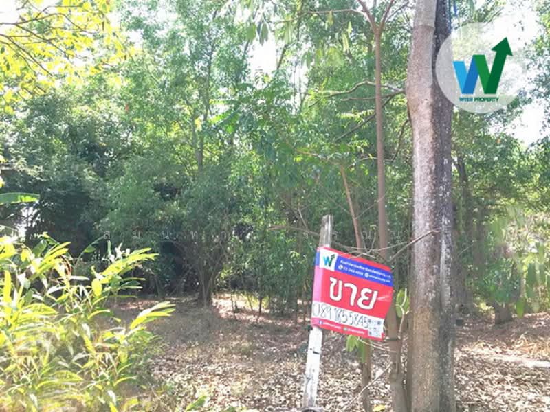 ขายที่ดินแปลงสวย ติดถนนโครงการ บ้านสวนศรีปทุม รังสิตคลอง11 (Baansuansripatum), ปทุมธานี, บึงบา, หนองเสือ, ปทุมธานี, 256 ตร.ม., ที่ดิน ขาย, โดย สุมนทา กรรณนุช, 500181954 - DDproperty.com