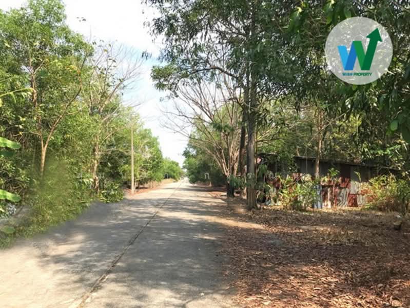 ขายที่ดินแปลงสวย ติดถนนโครงการ บ้านสวนศรีปทุม รังสิตคลอง11 (Baansuansripatum), ปทุมธานี, บึงบา, หนองเสือ, ปทุมธานี, 256 ตร.ม., ที่ดิน ขาย, โดย สุมนทา กรรณนุช, 500181954 - DDproperty.com