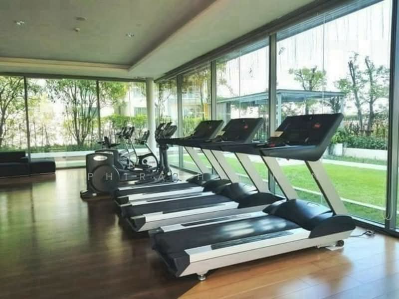 The Room Sukhumvit 62, Bangkok, 2288 Sukhumvit Road, Bang Chak, Phra Khanong, Bangkok, 2 Bedrooms, 76 sqm, Condo For Rent, by Natrinee Aphirachatanon, 500182151 - DDproperty.com