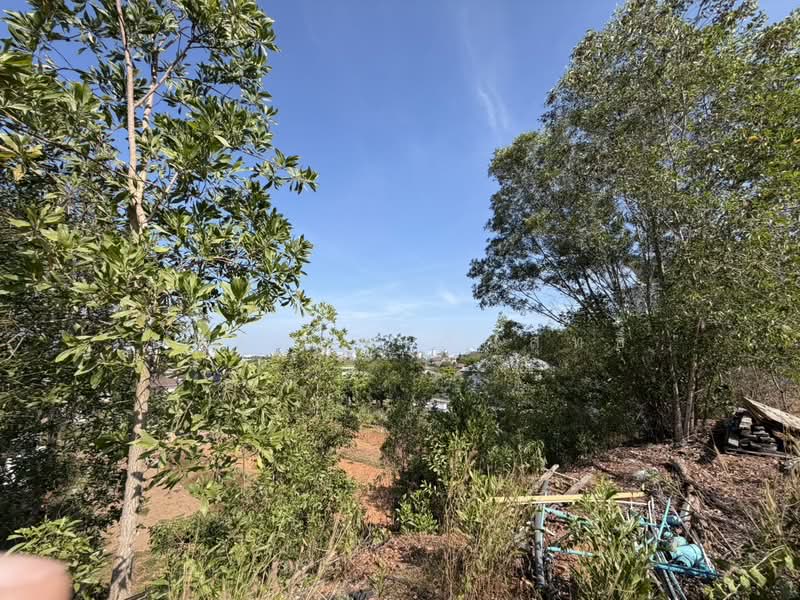 หมู่บ้านทานตะวัน, สงขลา, คอหงส์, หาดใหญ่, สงขลา, 800 ตร.ม., ที่ดิน ขาย, โดย ชนิดาภา กัณสุทธิ์, 500182472 - DDproperty.com