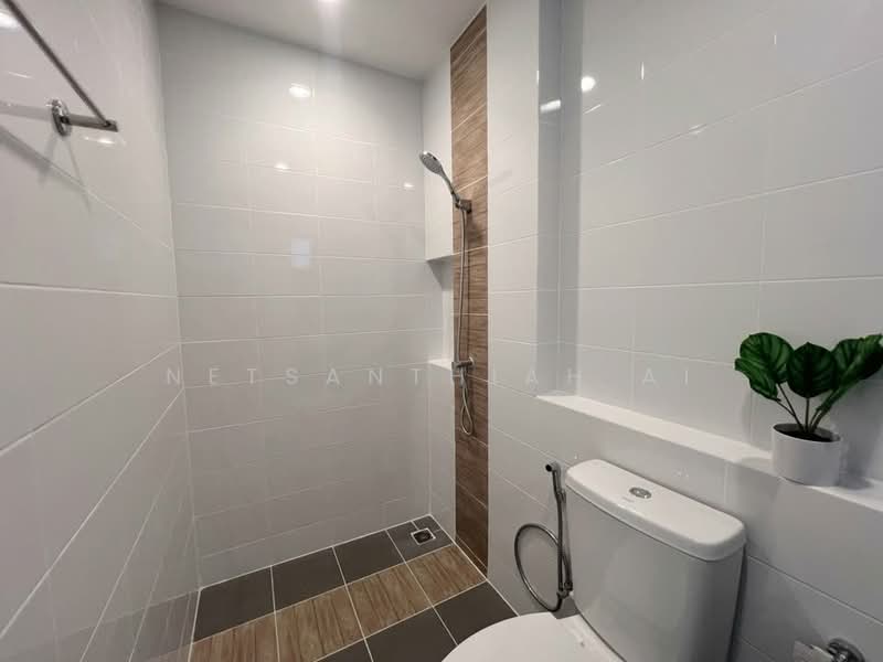 Pleno Sukhumvit-Bangna 2 : พลีโน่ สุขุมวิท-บางนา 2, สมุทรปราการ, ถนนบางนา-ตราด, บางแก้ว, บางพลี, สมุทรปราการ, 106 ตร.ม., ทาวน์เฮ้าส์ ให้เช่า, โดย Netsanthiah Ai, 500182587 - DDproperty.com