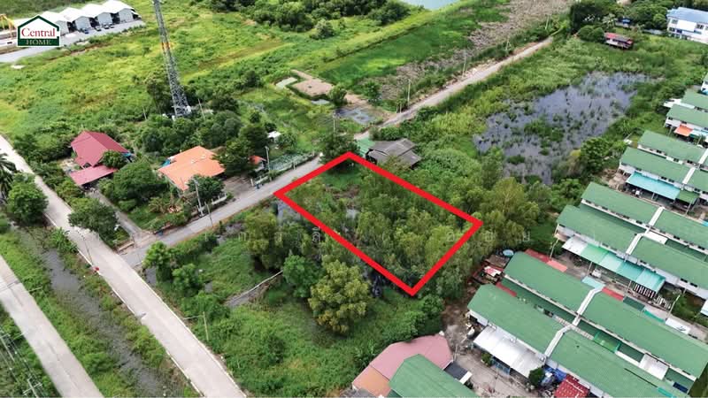 ที่ดินเปล่า 285 ตร.วา ซอยบงกช 55 คลอง 2, Pathum Thani, Khlong Song, Khlong Luang, Pathum Thani, , 1,140 sqm, Land For Sale, by คุณ เกวลี ( ออย ), 500182654 - DDproperty.com