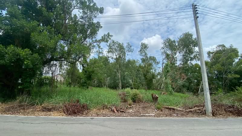 ที่ดินเปล่า 285 ตร.วา ซอยบงกช 55 คลอง 2, Pathum Thani, Khlong Song, Khlong Luang, Pathum Thani, , 1,140 sqm, Land For Sale, by คุณ เกวลี ( ออย ), 500182654 - DDproperty.com