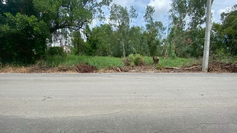 ที่ดินเปล่า 285 ตร.วา ซอยบงกช 55 คลอง 2, Pathum Thani, Khlong Song, Khlong Luang, Pathum Thani, , 1,140 sqm, Land For Sale, by คุณ เกวลี ( ออย ), 500182654 - DDproperty.com