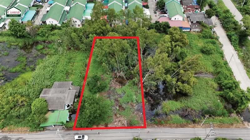 ที่ดินเปล่า 285 ตร.วา ซอยบงกช 55 คลอง 2, Pathum Thani, Khlong Song, Khlong Luang, Pathum Thani, , 1,140 sqm, Land For Sale, by คุณ เกวลี ( ออย ), 500182654 - DDproperty.com