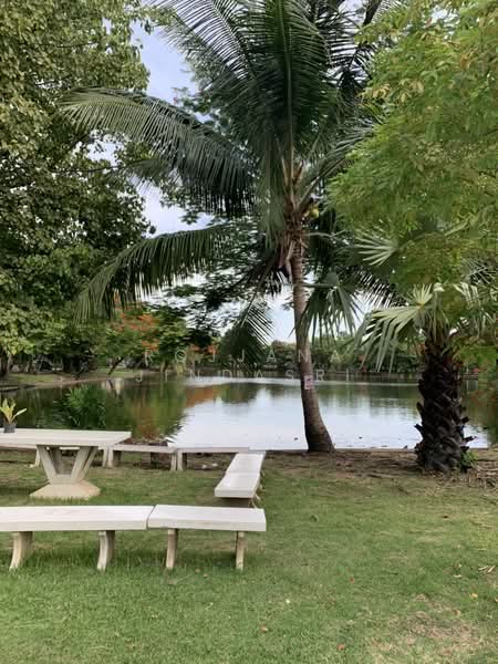 Sammakon Ramkhamhaeng, Bangkok, Ramkhamhaeng Road, Saphan Sung, Saphan Sung, Bangkok, 4 Bedrooms, 170 sqm, Single Detached House For Rent, by Rojjana Jindasri, 500182662 - DDproperty.com