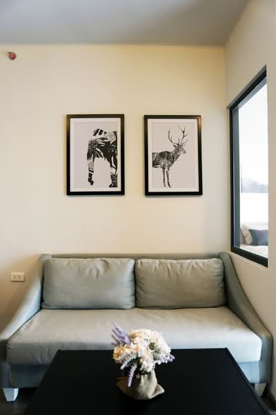 IDEO Sukhumvit 93, Bangkok, 2331 Soi Sukhumvit 93, Bang Chak, Phra Khanong, Bangkok, 1 Bedroom, 34 sqm, Condo For Rent, by Rojjana Jindasri, 500182702 - DDproperty.com