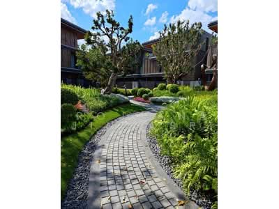 ขาย - BuGaan Rama 9-Meng Jai : บูก้าน พระราม 9-เหม่งจ๋าย, กรุงเทพ