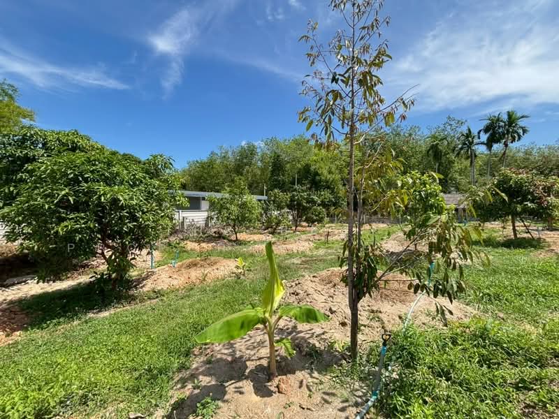 ที่ดินบ้านแลง ระยอง, Rayong, Ban Laeng, Muang Rayong, Rayong, , 1,600 sqm, Land For Sale, by The Best Property Agent ตอง, 500182803 - DDproperty.com