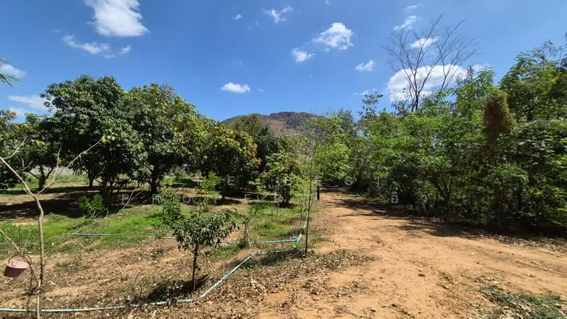 For Sale - ที่ดินพร้อมสิ่งปลูกสร้างปากท่อ ราชบุรี, Ratchaburi