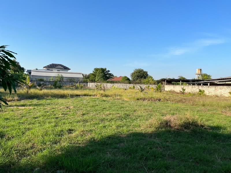 ขาย - ที่ดินกำแพงแสน นครปฐม, นครปฐม