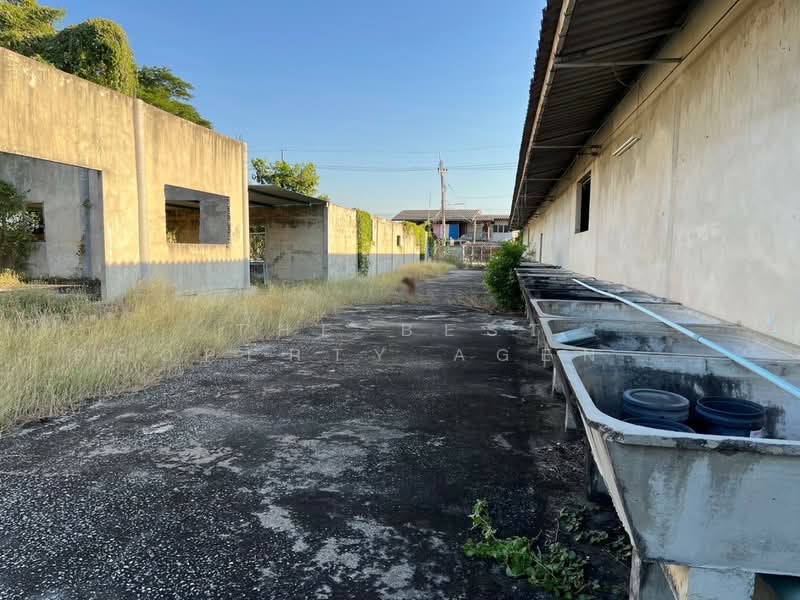 ขาย - ที่ดินกำแพงแสน นครปฐม, นครปฐม